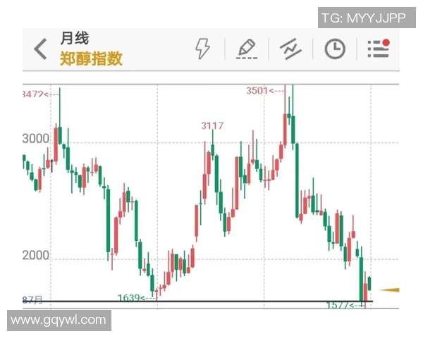 深圳足球队与上海足球队赛后技术分析与战术复盘探讨